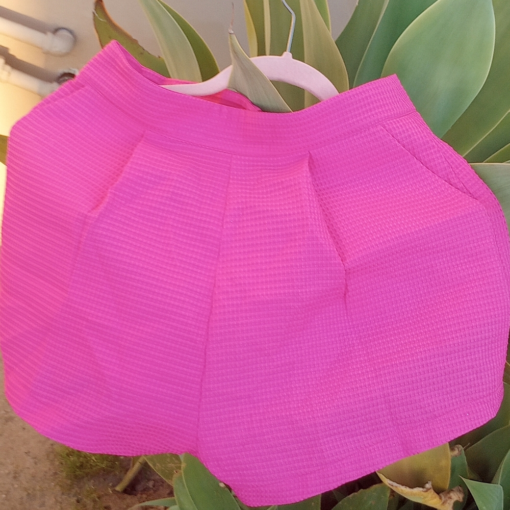 Nutshell - Picture 5 of 10